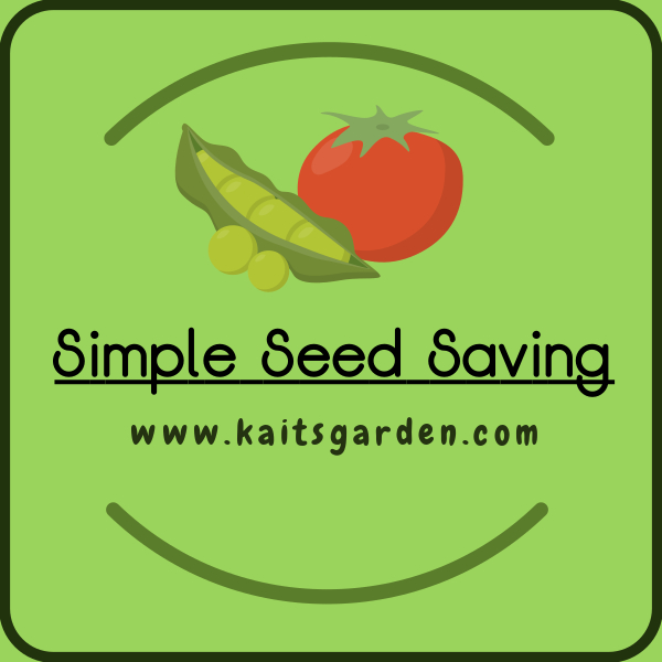 Seed Saving Tips For 8 Easy Vegetables Kaits Garden